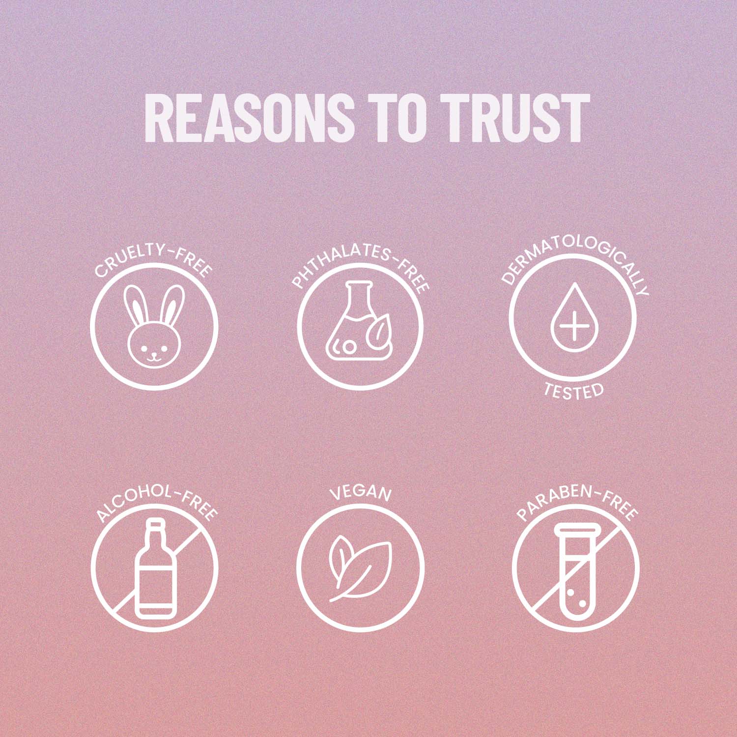 Thumbnail 239